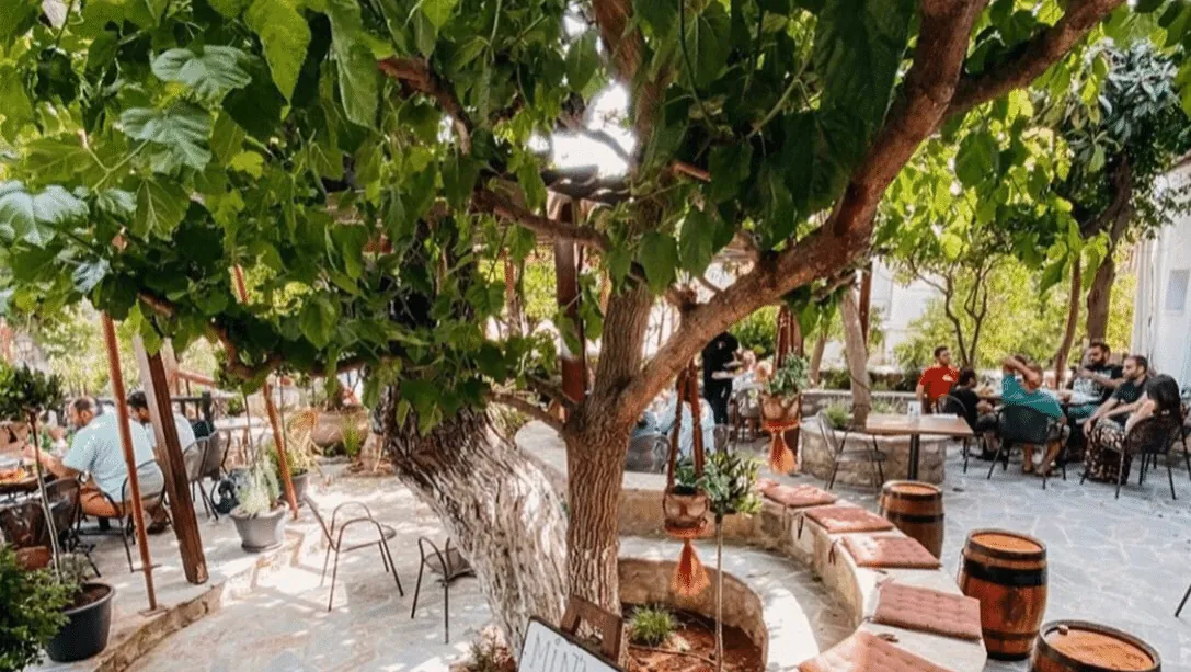 The Bunch of Grapes, Pissouri