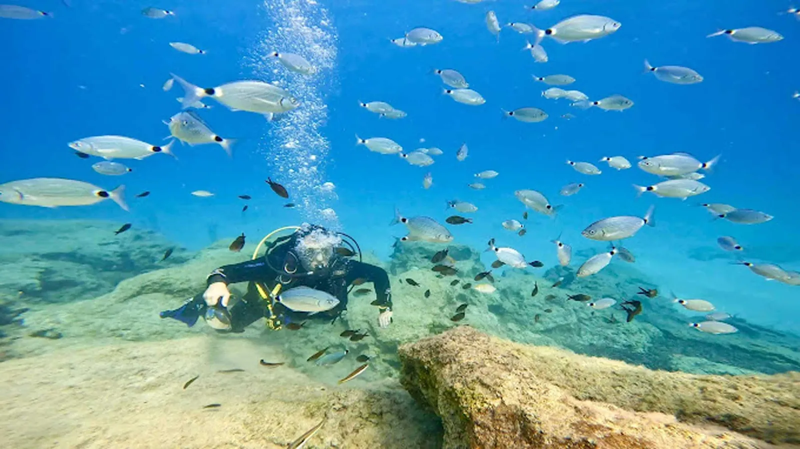 Cyprus Diving Adventures