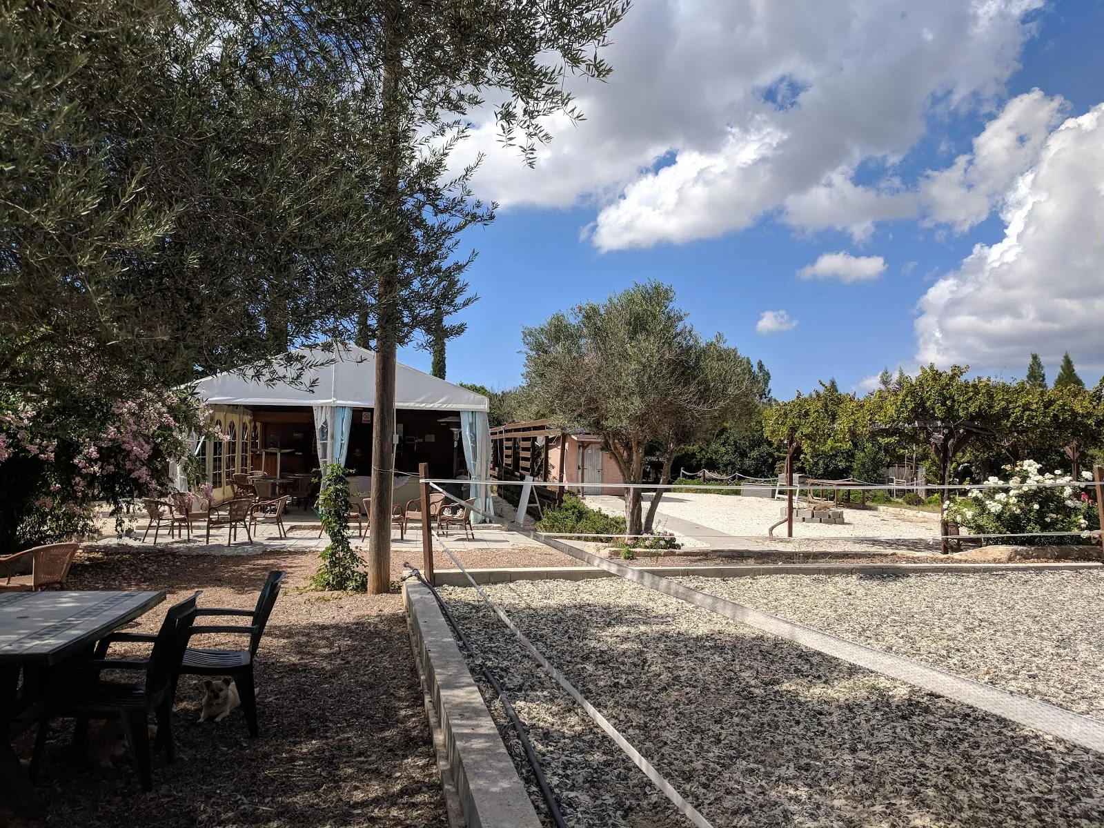 Paphos Riding School