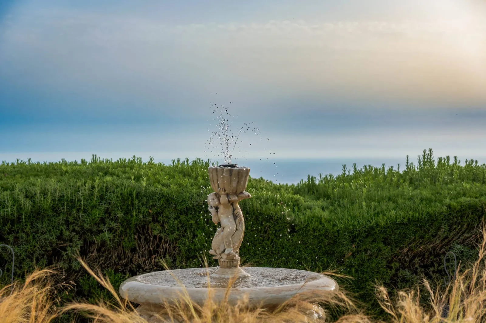 Fountain in the garden